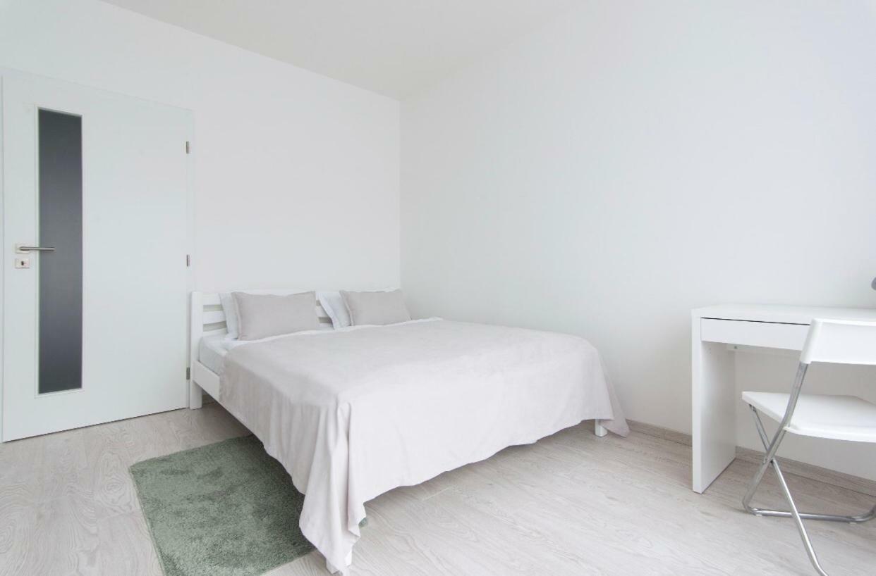 פראג Free Parking In Garage Karolina Plazza, New Cosy Studio With All You Need מראה חיצוני תמונה